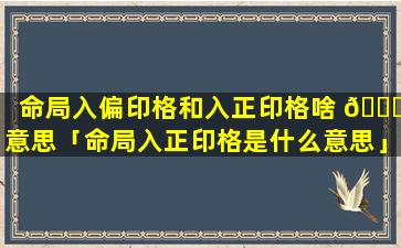 命局入偏印格和入正印格啥 🍁 意思「命局入正印格是什么意思」